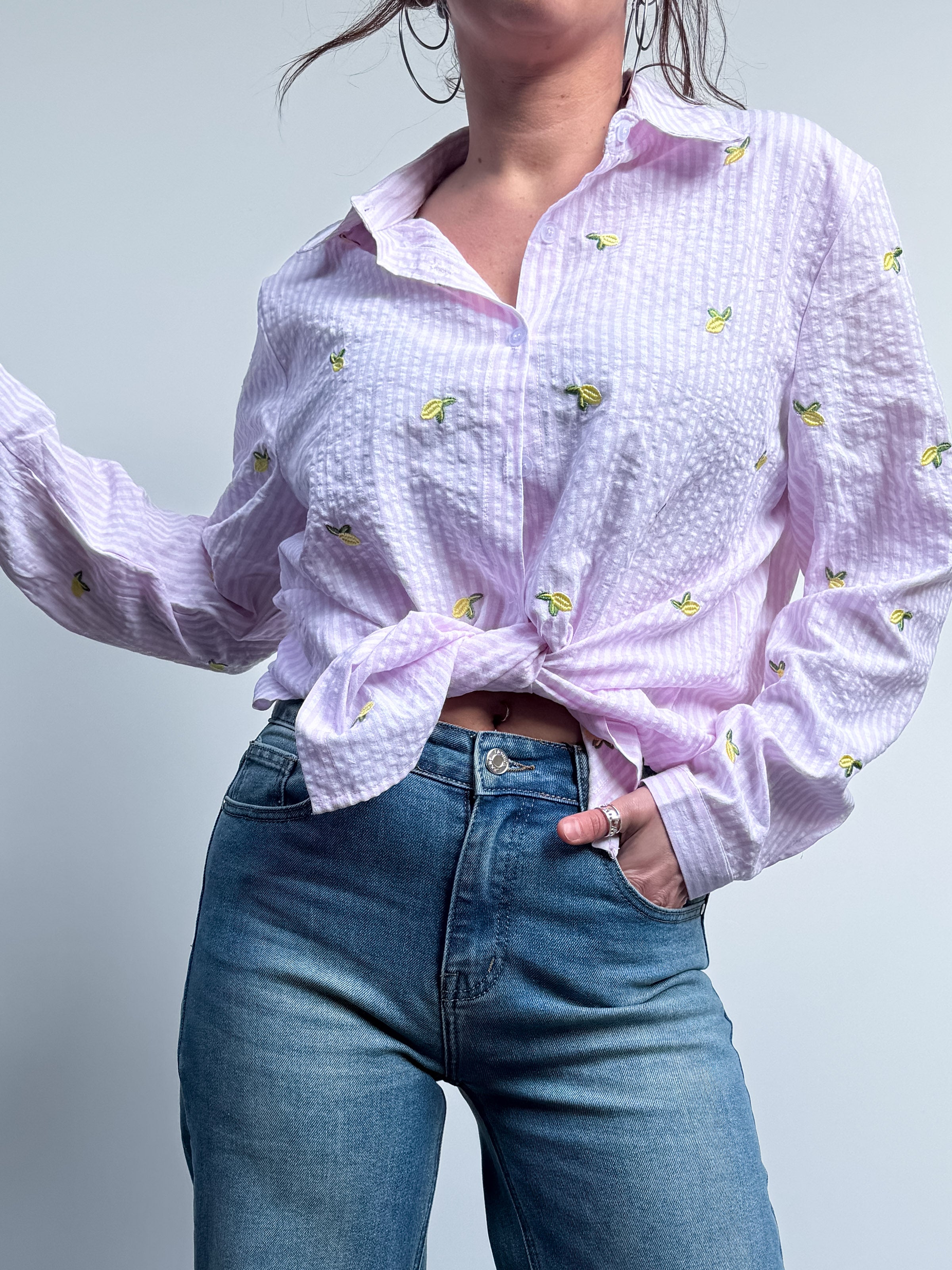Camicia rigata con limoni ricamati